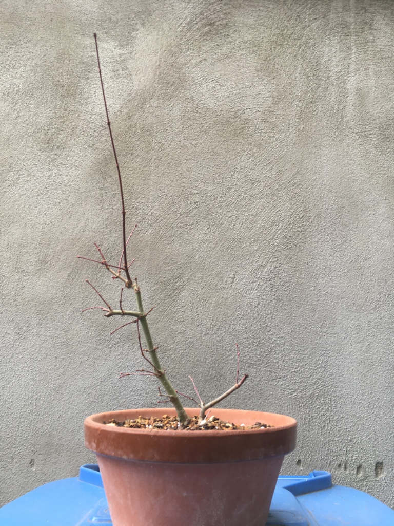 Das ist nun der abgemooste Teil 03/19