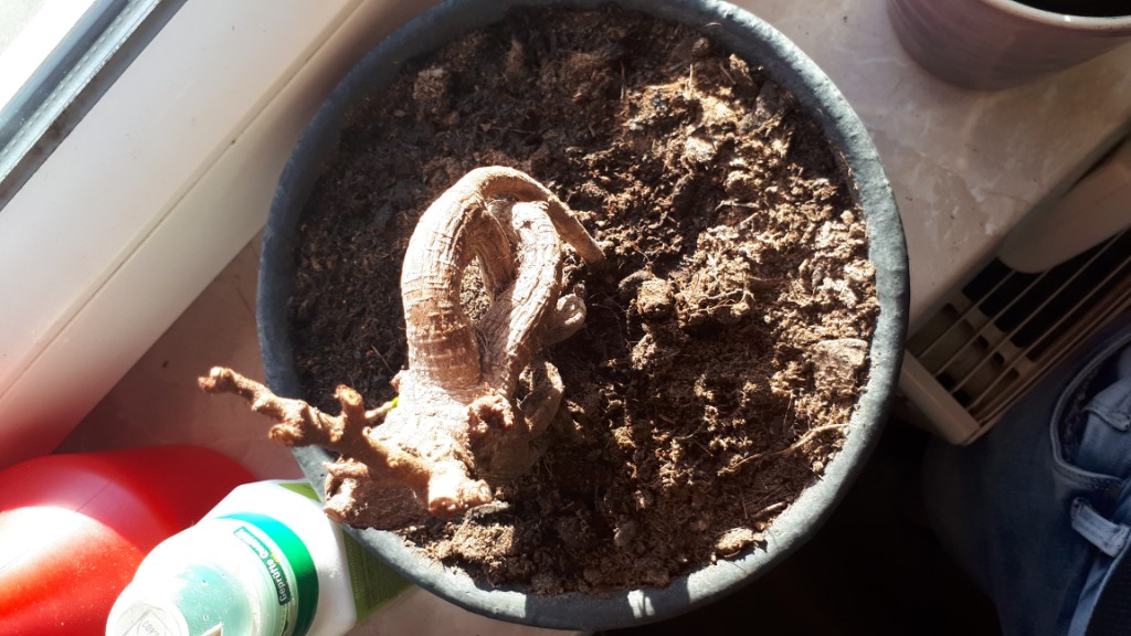 20190307_080253.jpg