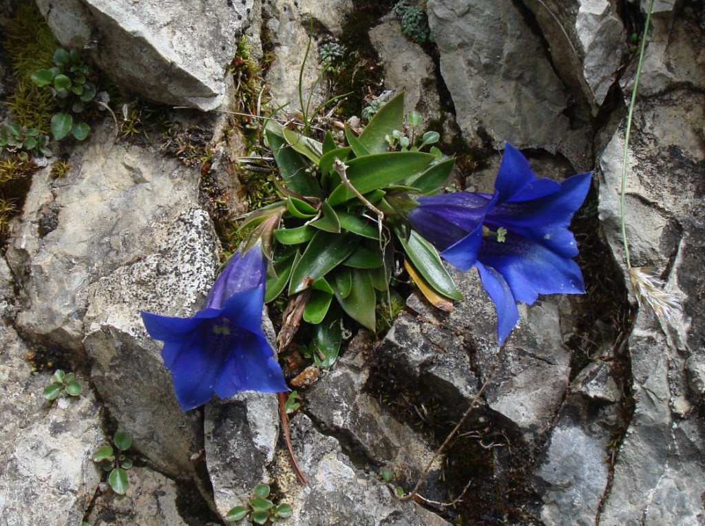 DSC06247x.jpg