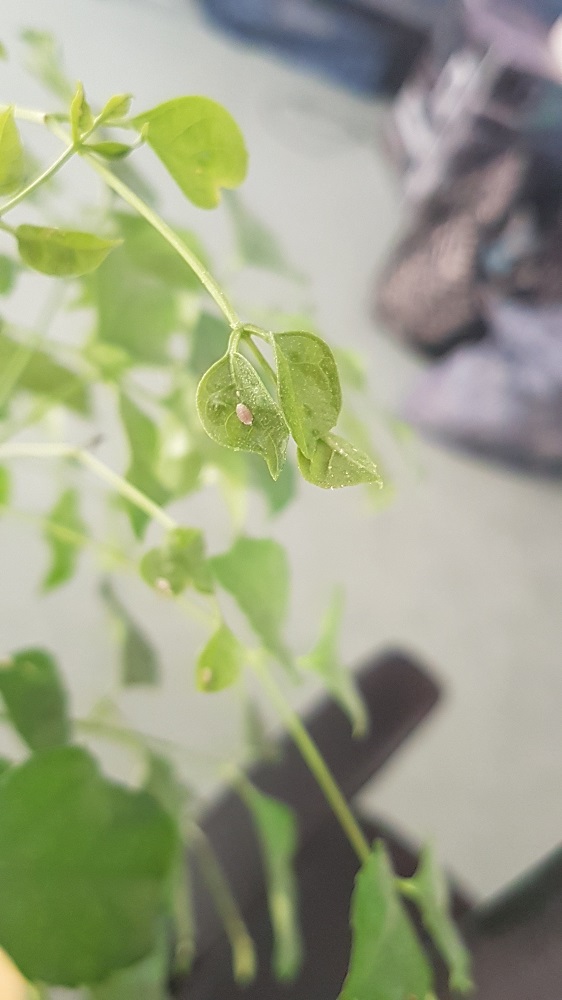 20190307_150958.jpg