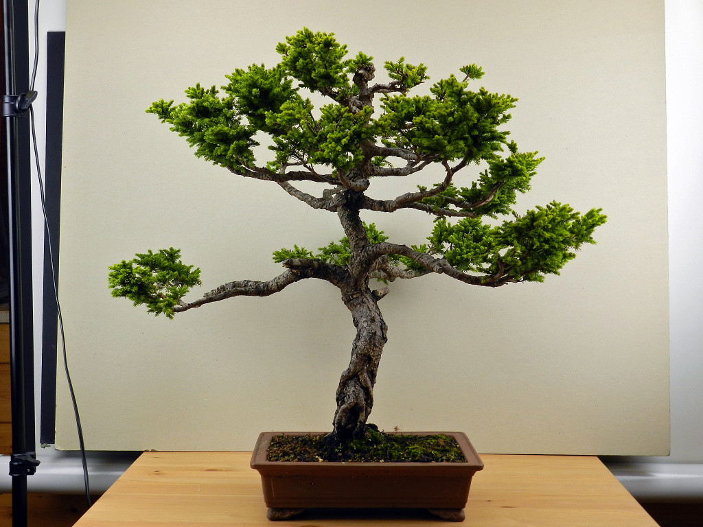 DSCN4109.JPG