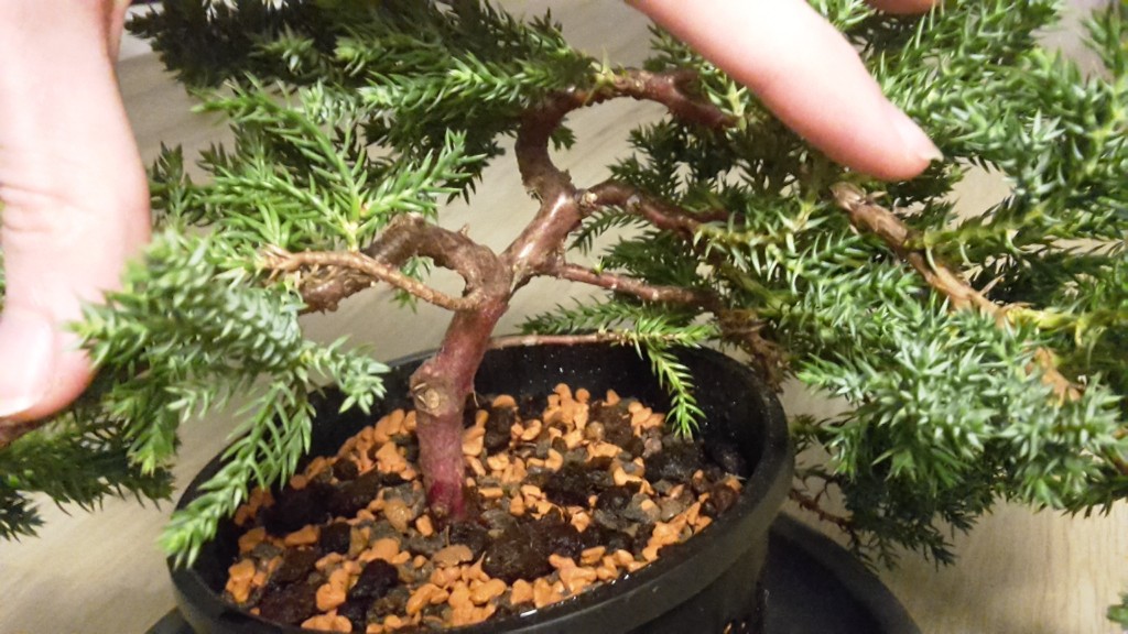 2019-03-09 04.42.40.jpg