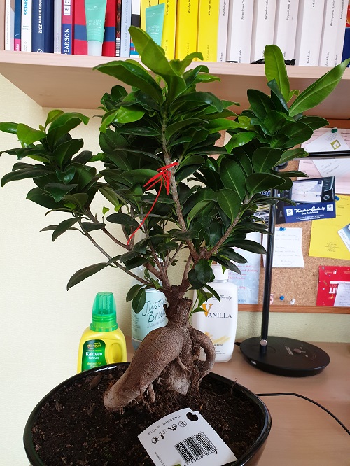 20190313_123117.jpg