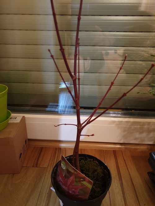 20190316_210353.jpg