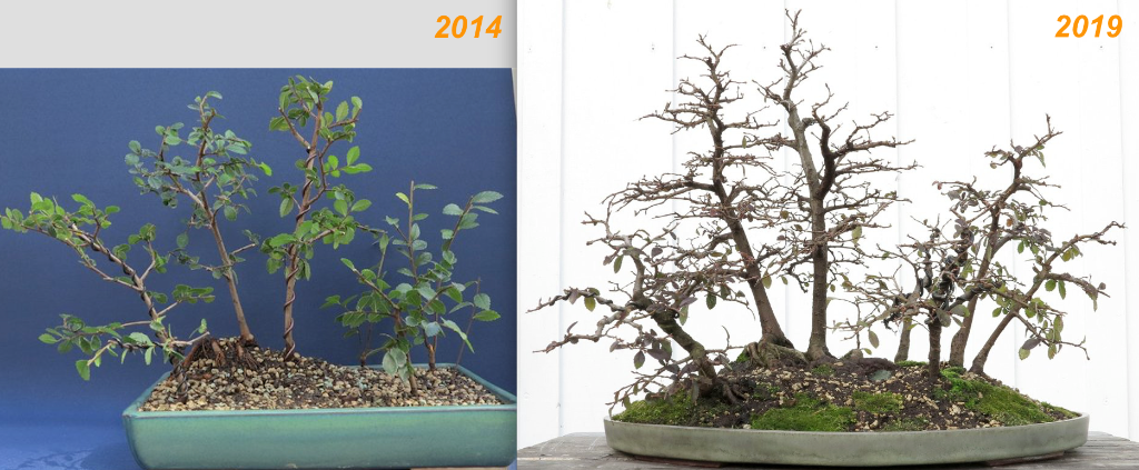 April 2014 - März 2019