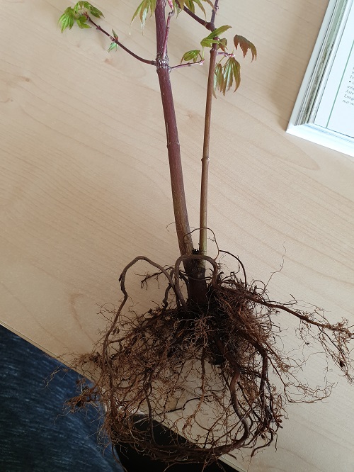20190325_113925.jpg