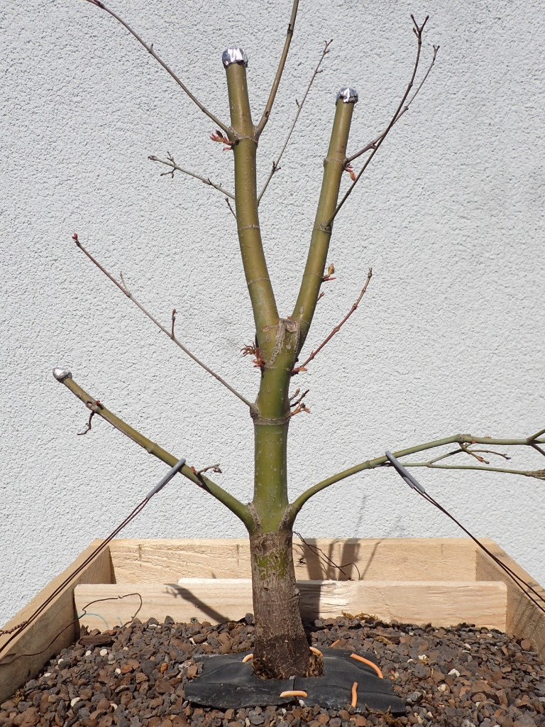 20190330_180542.jpg