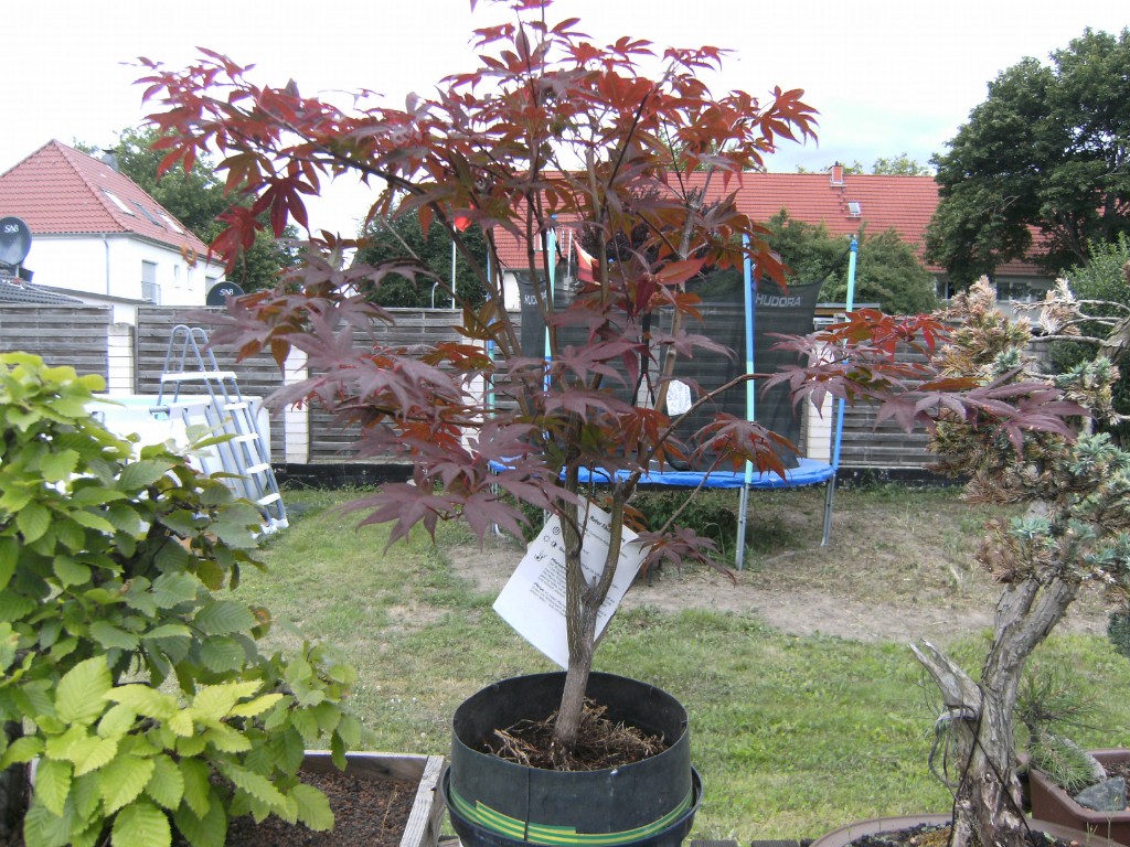PICT3617.JPG