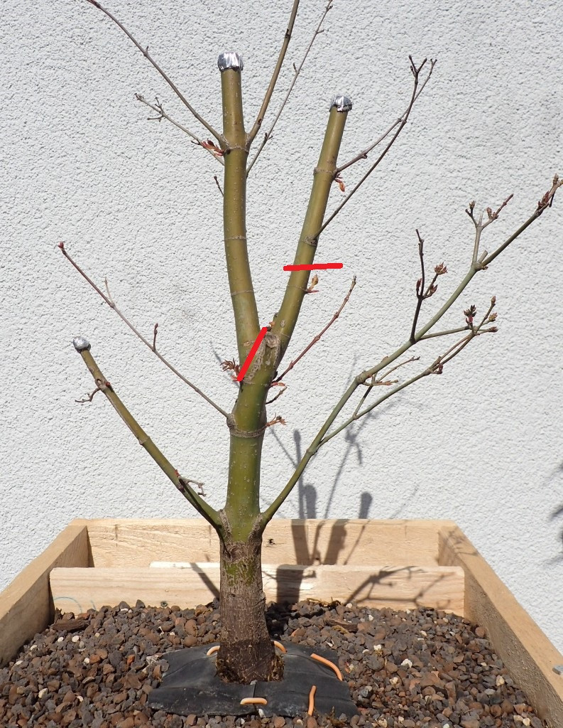 20190330_180419.jpg