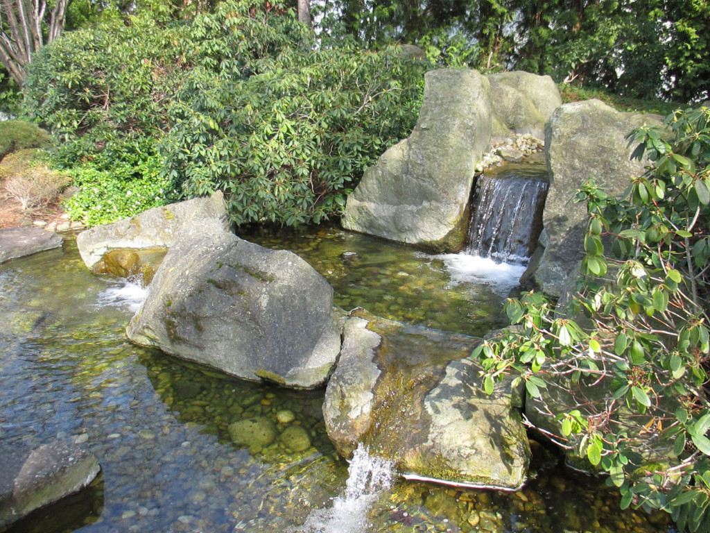 IMG_1380.JPG
