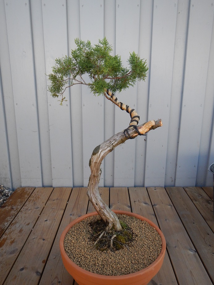 DSCN5827.jpg