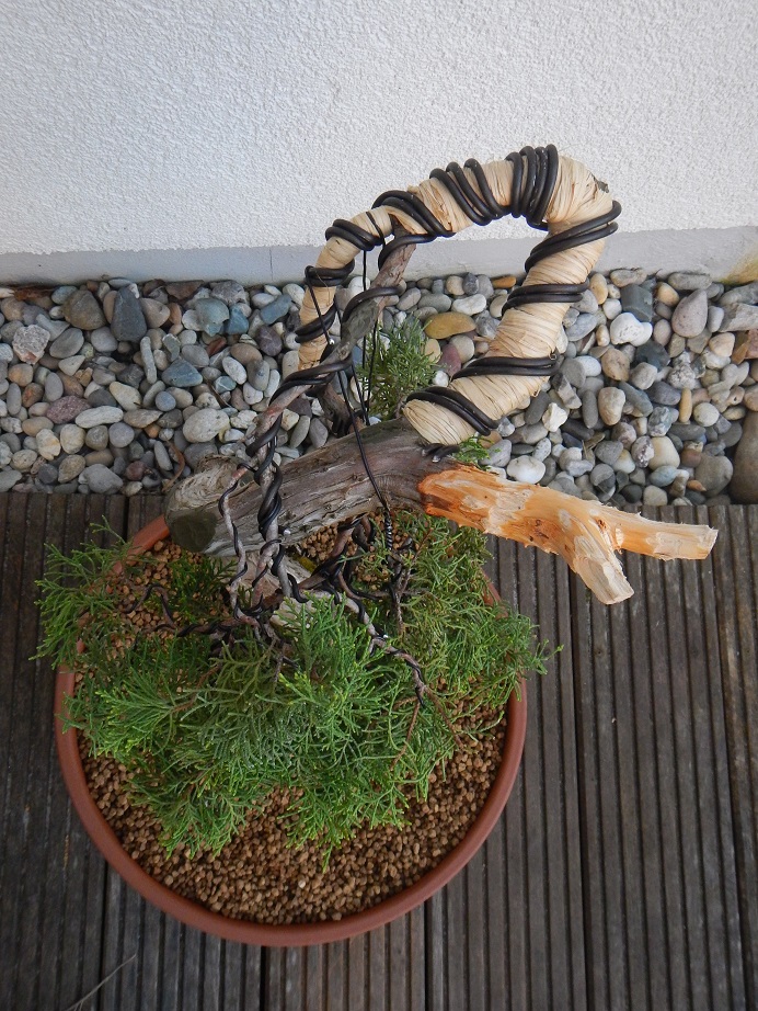 DSCN5876.jpg