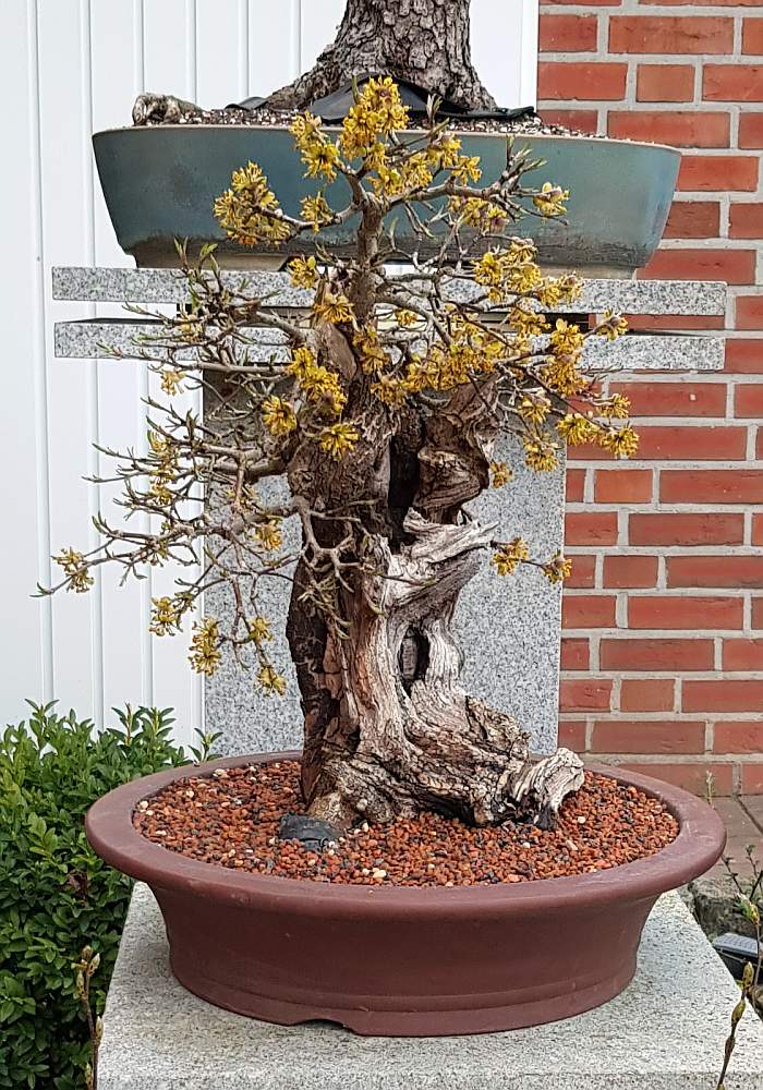 20190404_192746.jpg