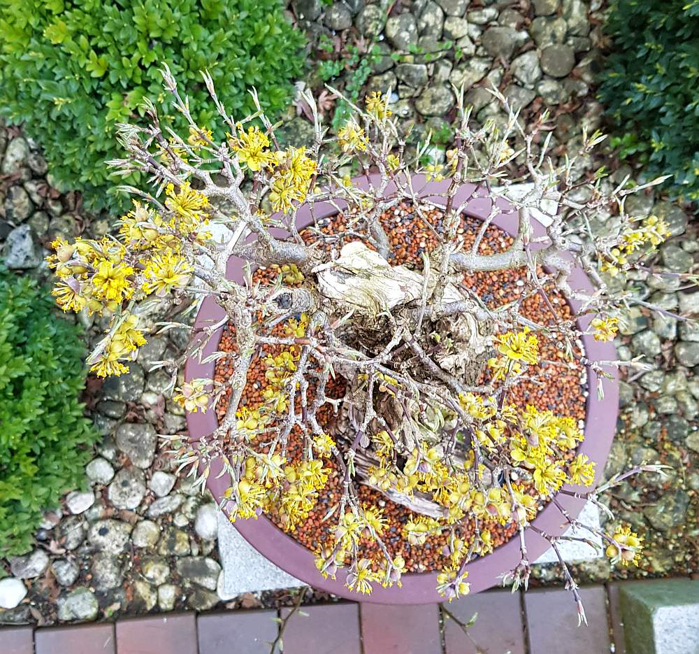 20190404_192956.jpg