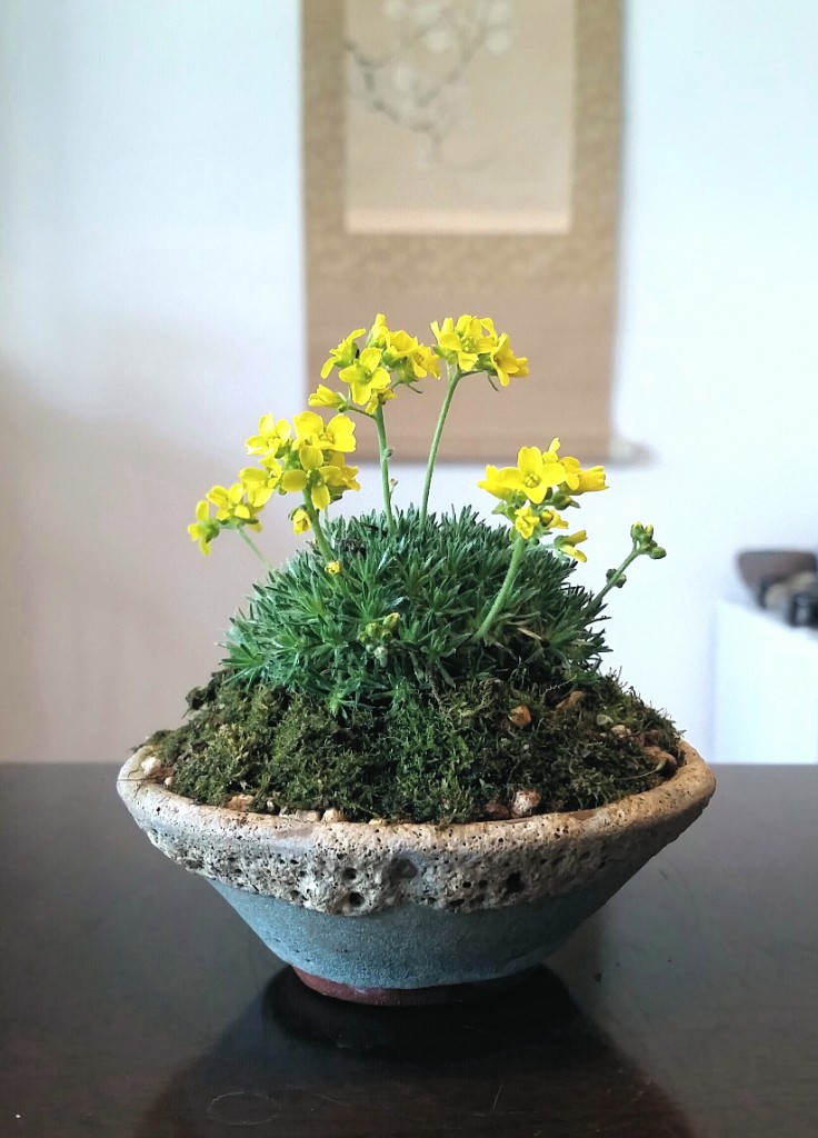 2019-04-07 19.56.57.jpg