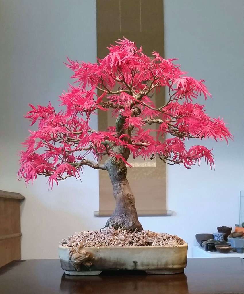 2019-04-15 07.56.28.jpg