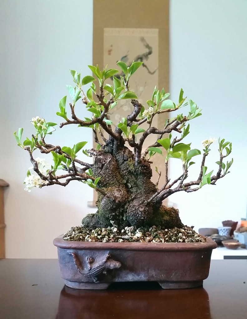 2019-04-15 11.23.33.jpg