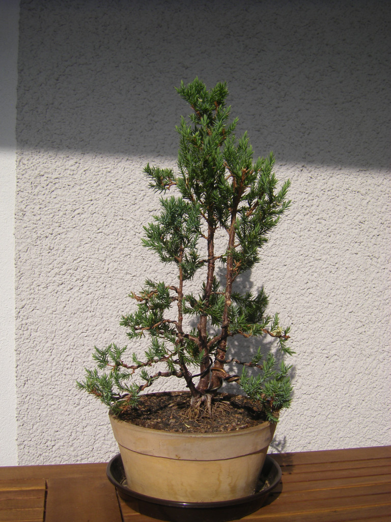 STH73354.JPG