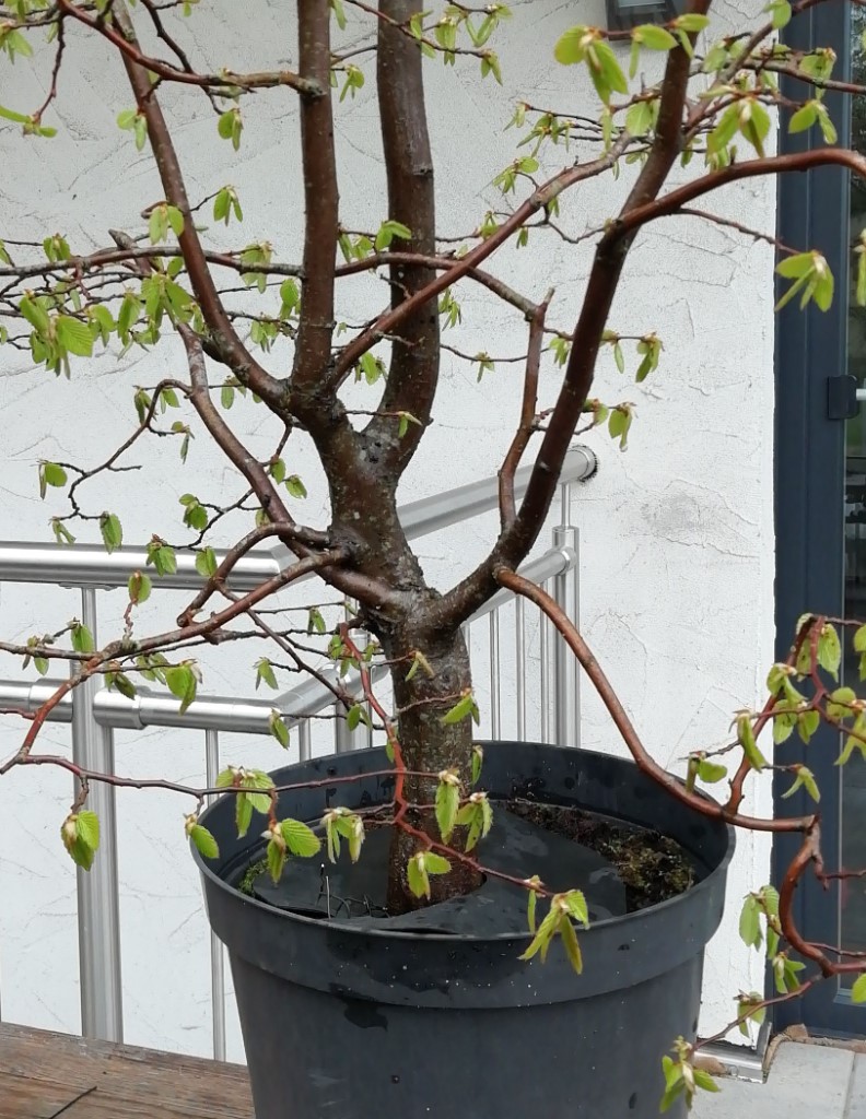 2.jpeg