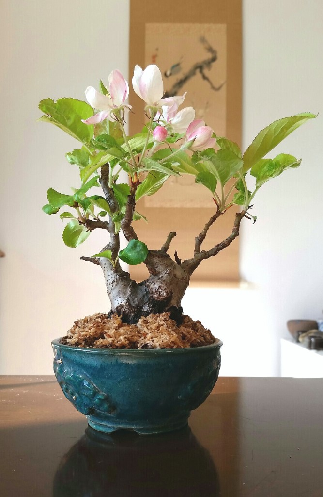 2019-04-17 08.40.01.jpg