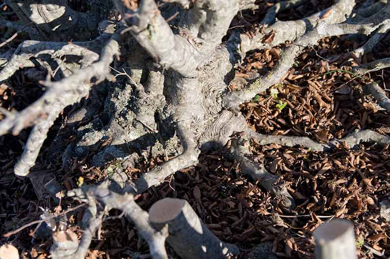 2012-01-_MG_1858w.jpg