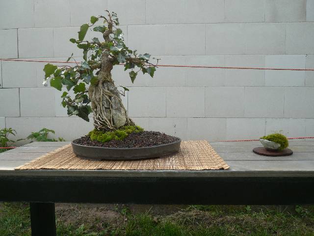 2019_4_16.jpg