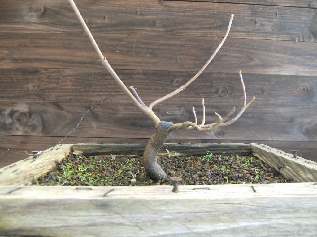 PICT3746.JPG