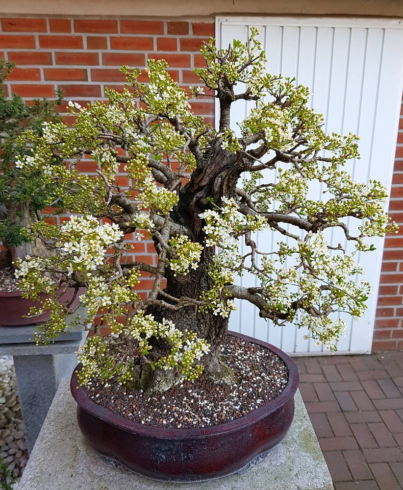 20190418_194024-1.jpg