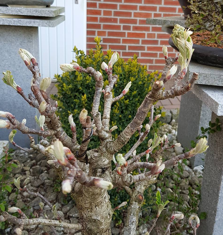20190418_194229-1.jpg