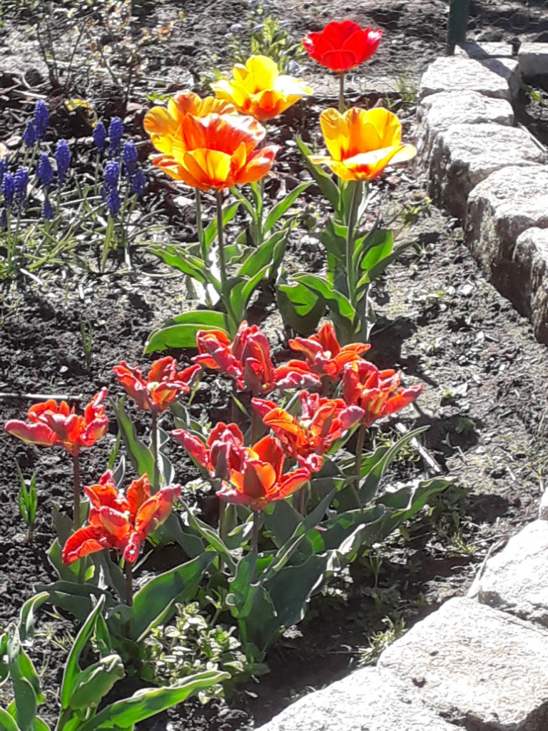 20190419_111342.jpg