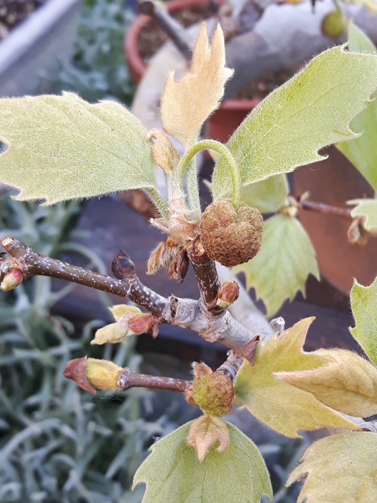 20190420_080031.jpg