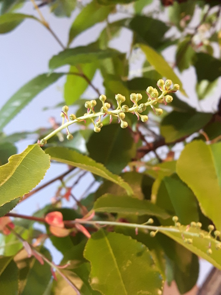 20190420_083216.jpg