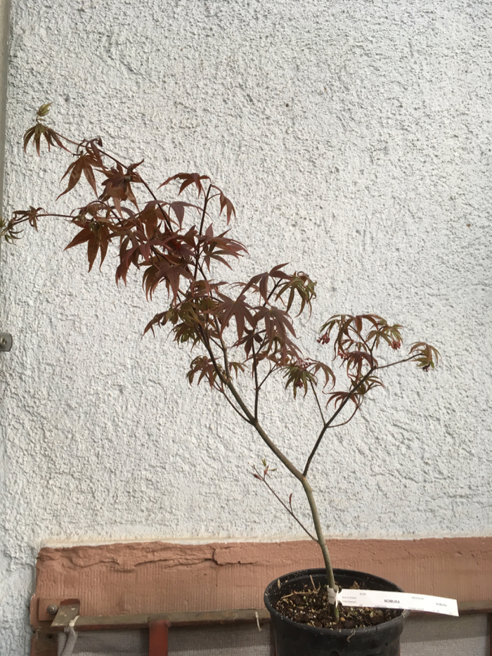 04/19