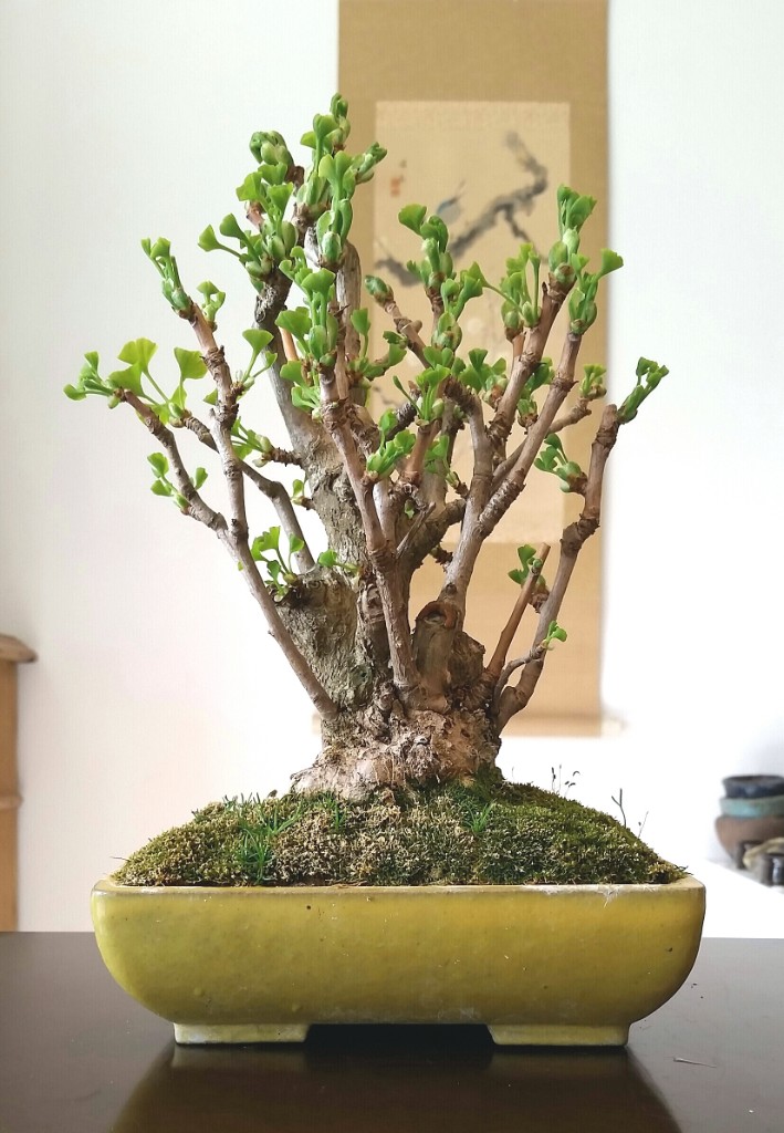 2019-04-22 09.54.10.jpg