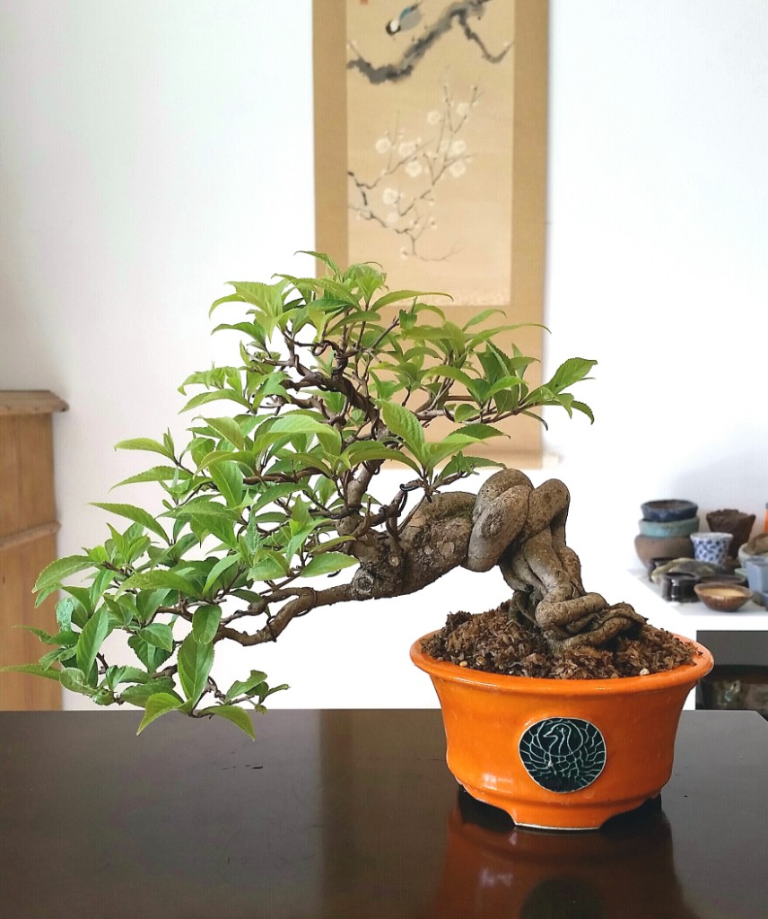 2019-04-22 09.52.24.jpg