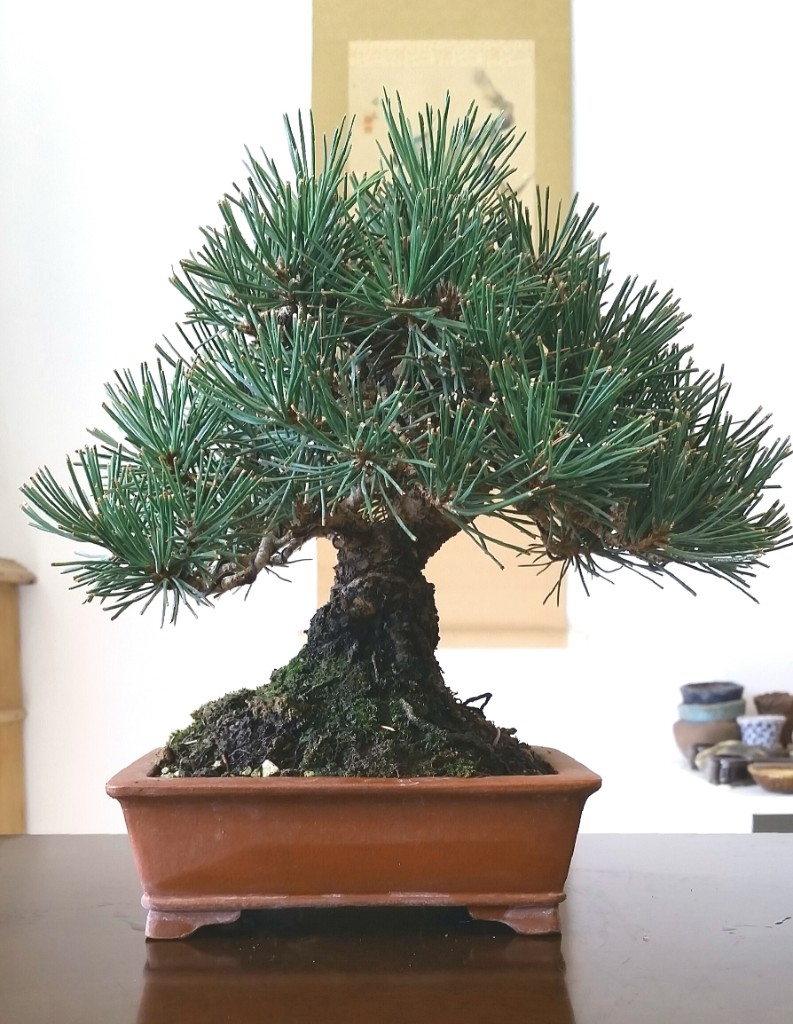 2019-04-22 09.47.58.jpg