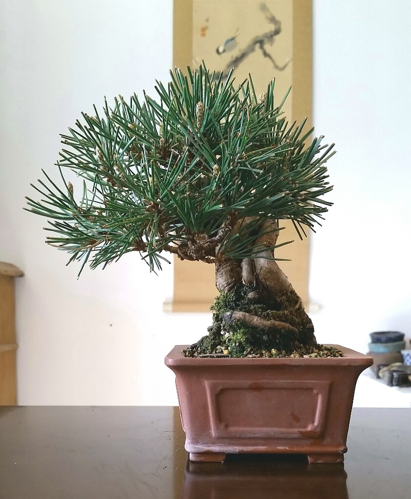 2019-04-22 09.45.47.jpg