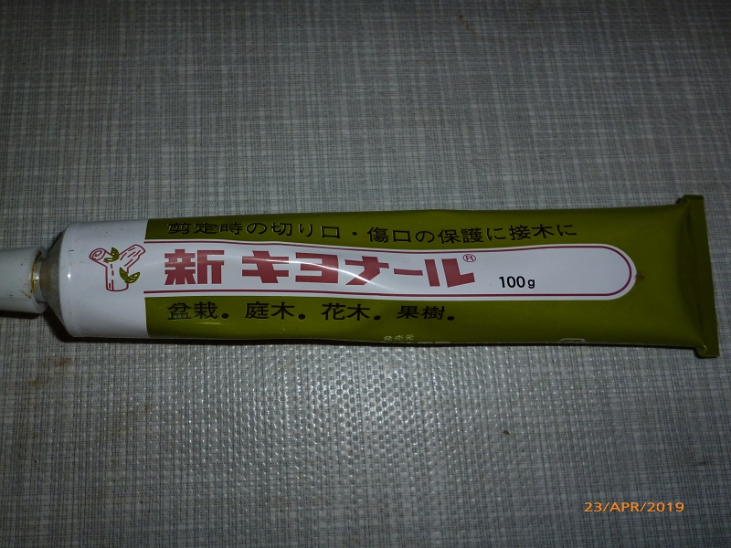 P1020032.JPG