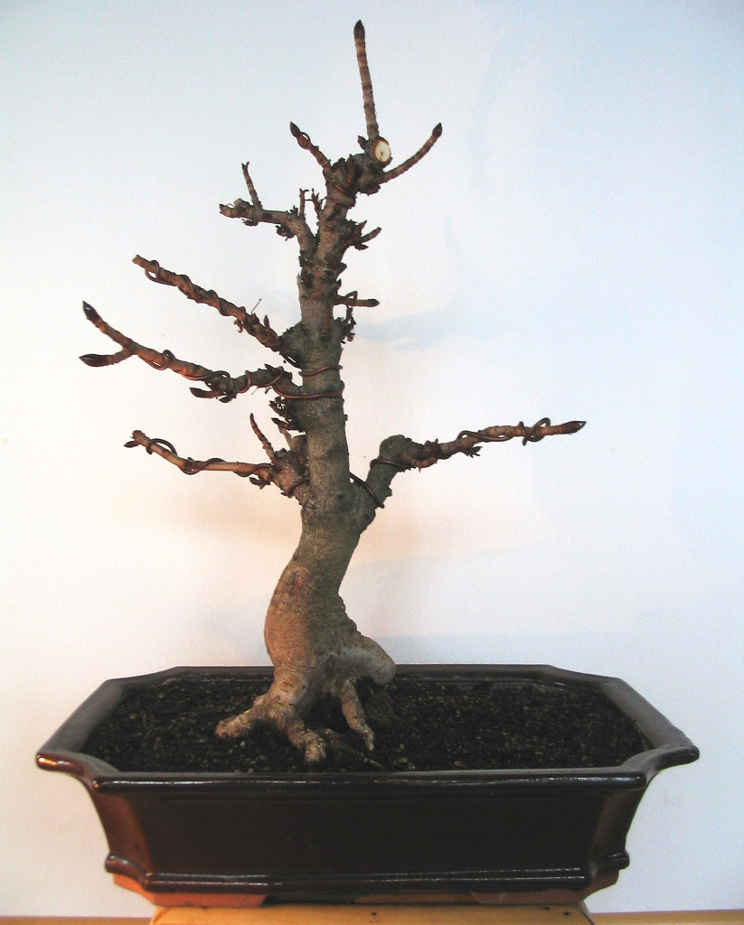 März 2007