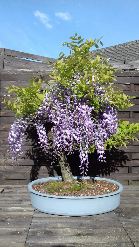 20190424_172546.jpg