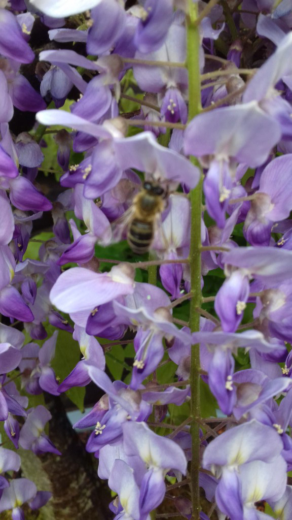 20190424_184845.jpg