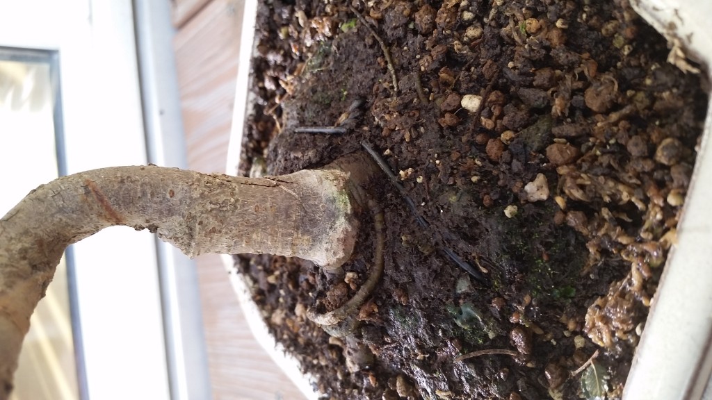 20190425_183801.jpg