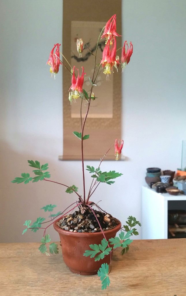 2019-04-27 09.49.52.jpg