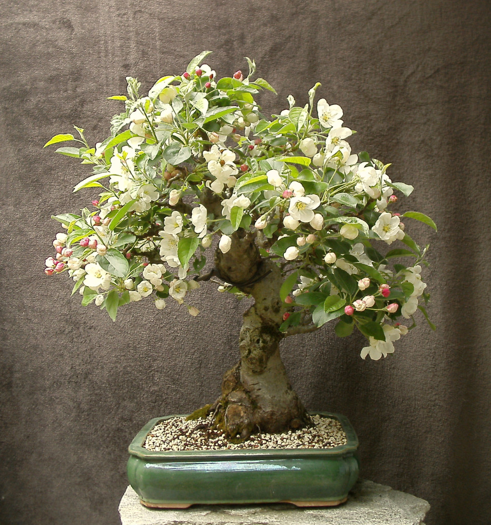 Ende April 2019