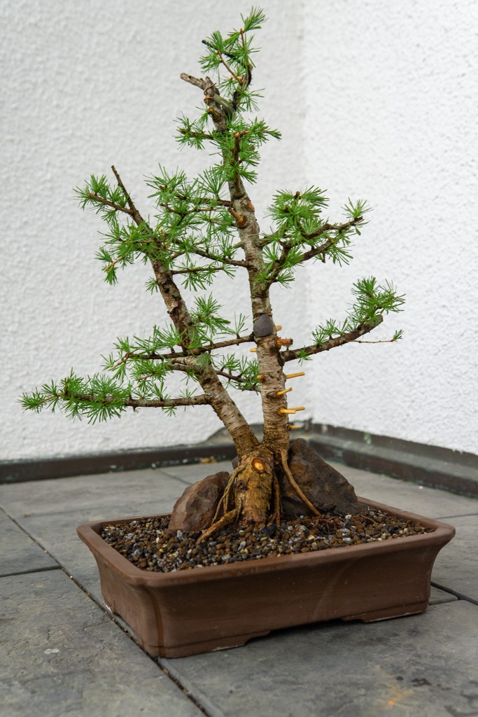 April 2019 nach Erstgestaltung