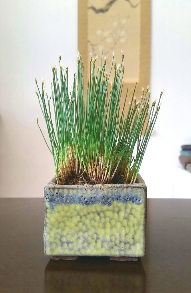 2019-04-28 11.13.59.jpg