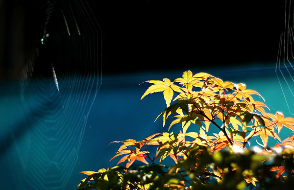 Herbst wird's
