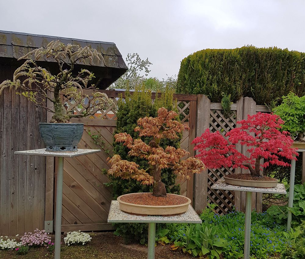 20190428_100551-1.jpg