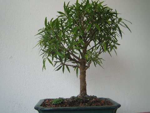 image5.jpeg