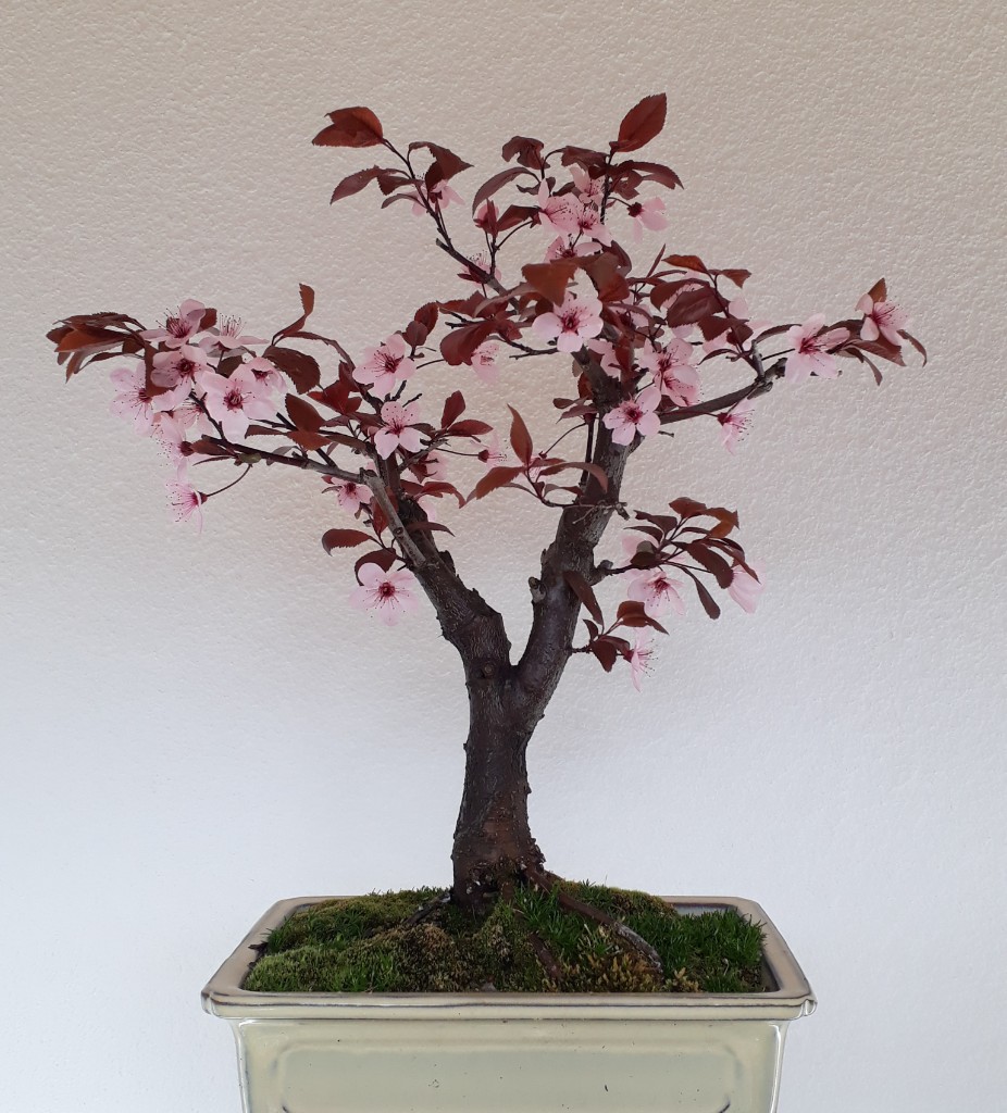 20190505_083420.jpg